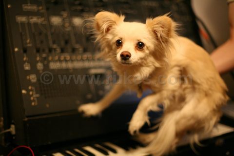 Milton's Press Shots - April 28, 2008